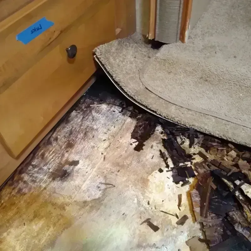 Wood Floor Water Damage in Winnebago County, WI